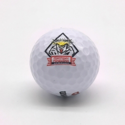 Fischtown Pinguins - Golfball - Logo - Weiß