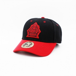 Fischtown Pinguins - ADULT Curved-Cap - Red Logo