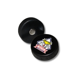 Fischtown Pinguins - Minipuck - Magnet - mit Logo