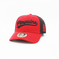 Fischtown Pinguins - ADULT Curved-Cap - Trucker Style